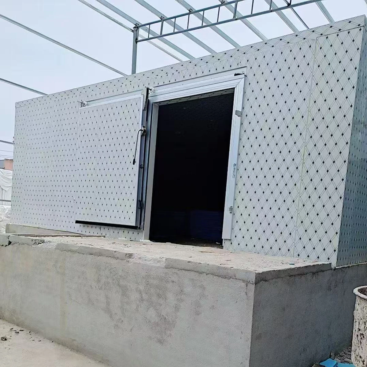 ห้องเย็นในเชิงพาณิชย์ ห้องเย็นและห้องแช่แข็ง เดินในห้องเย็นในเครื่องทําความเย็น