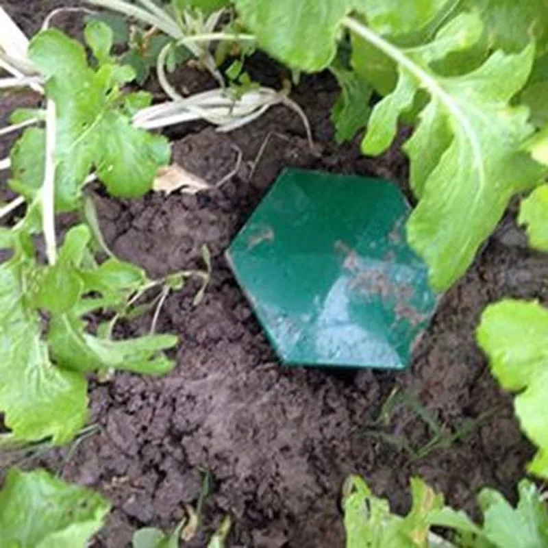 Nuovo! Alta qualità per bambini e animali domestici 8 pezzi Trappole per lumache Trappole per lumache verdi Ecologiche per catturare lumache Raccoglitore di lumache, sicuro