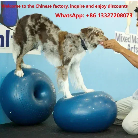 AVC Dog Donut Fitness Balance Ball, Pet Rehab Training Ball for Hind Leg & Core Muscle Exercise