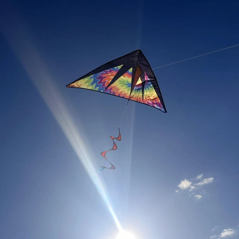 무료 배송 새로운 만화 삼각형 불꽃 연 papalote 윈드 서핑 연 그리기 장난감 parapente 연 풍선 장난감 낙하산 paragl