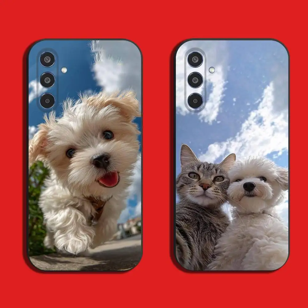 Pet Puppy Dog Cute  Ultra Thin  Soft Silicone Case For Samsung Galaxy  A22 A21 FE Plus Ultra  A70  A71 A73 A72 Black Back Cover