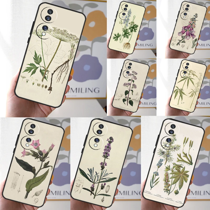 Botanical Drawings Flowers Plants Case For Honor X8b X9b X8 X9 X6a X7a X8a X9a Cover For Honor Magic 6 5 Pro 50 70 90 Lite