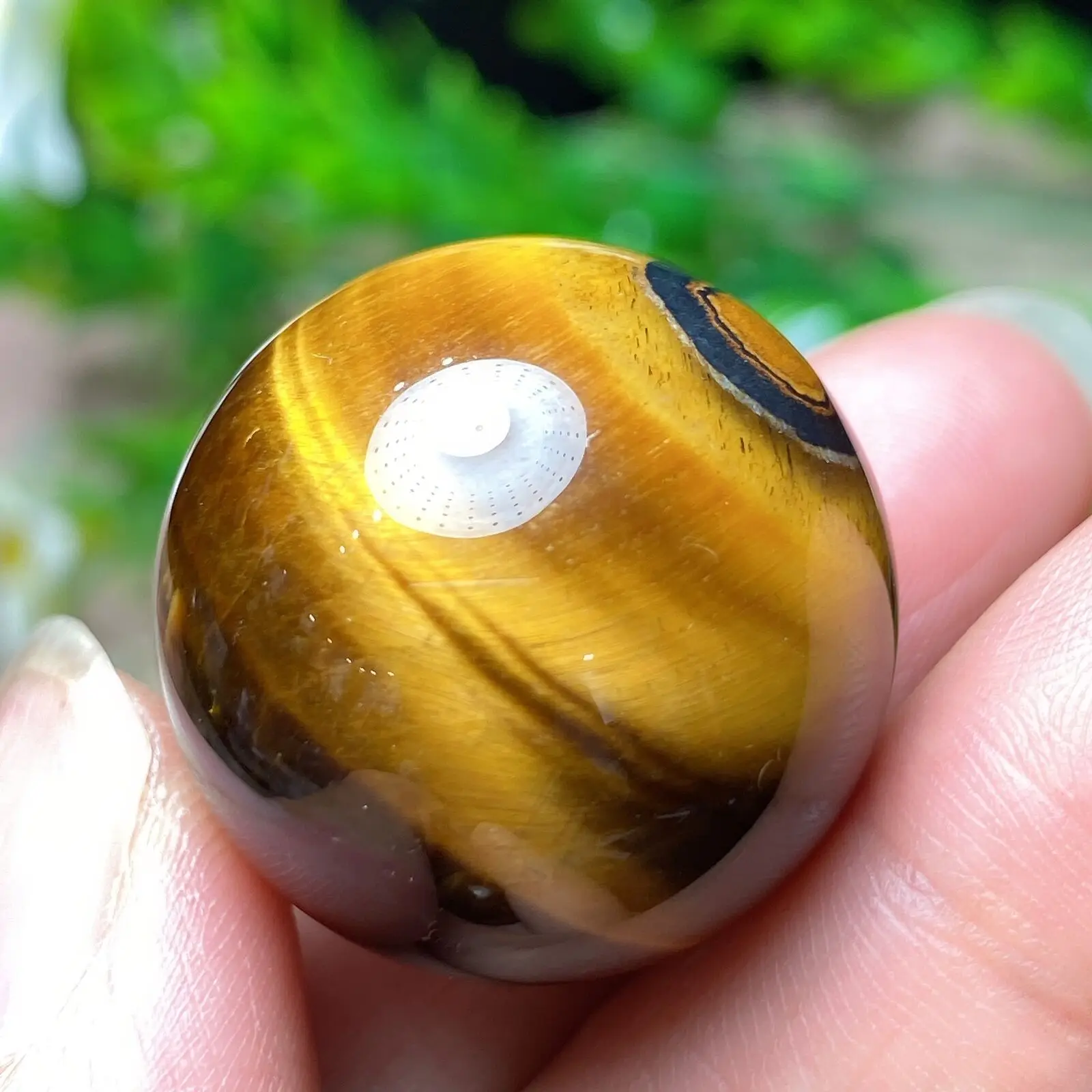 

Natural Rare Yellow Tiger Eye Ball Reiki Stone Carving Crafts