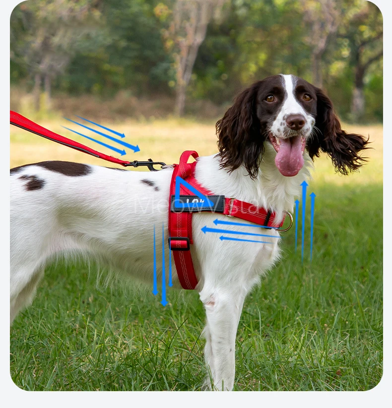 Personalized No Pull Dog Harness with Name Patch Escape-Proof Adjustable Reflective Soft Padded Dog Vest for Training Walking
