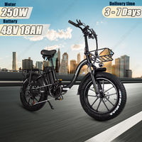 CMACEWHEEL Y20 Electric Bike 250W Brushless Motor 48V18AH Battery Electric Bicycle Hydraulic Disc Brake 20*4-in Tire City E-Bike