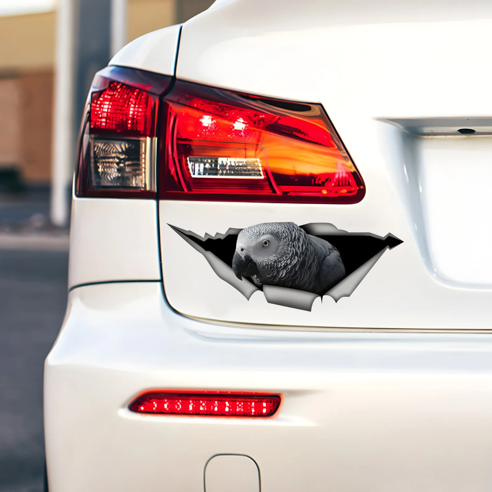 DK371# Curious Parrot Car Stickers, Waterproof Vinyl Decals, for Car Windows, Car Bumper, Car Body Decorative Accessories