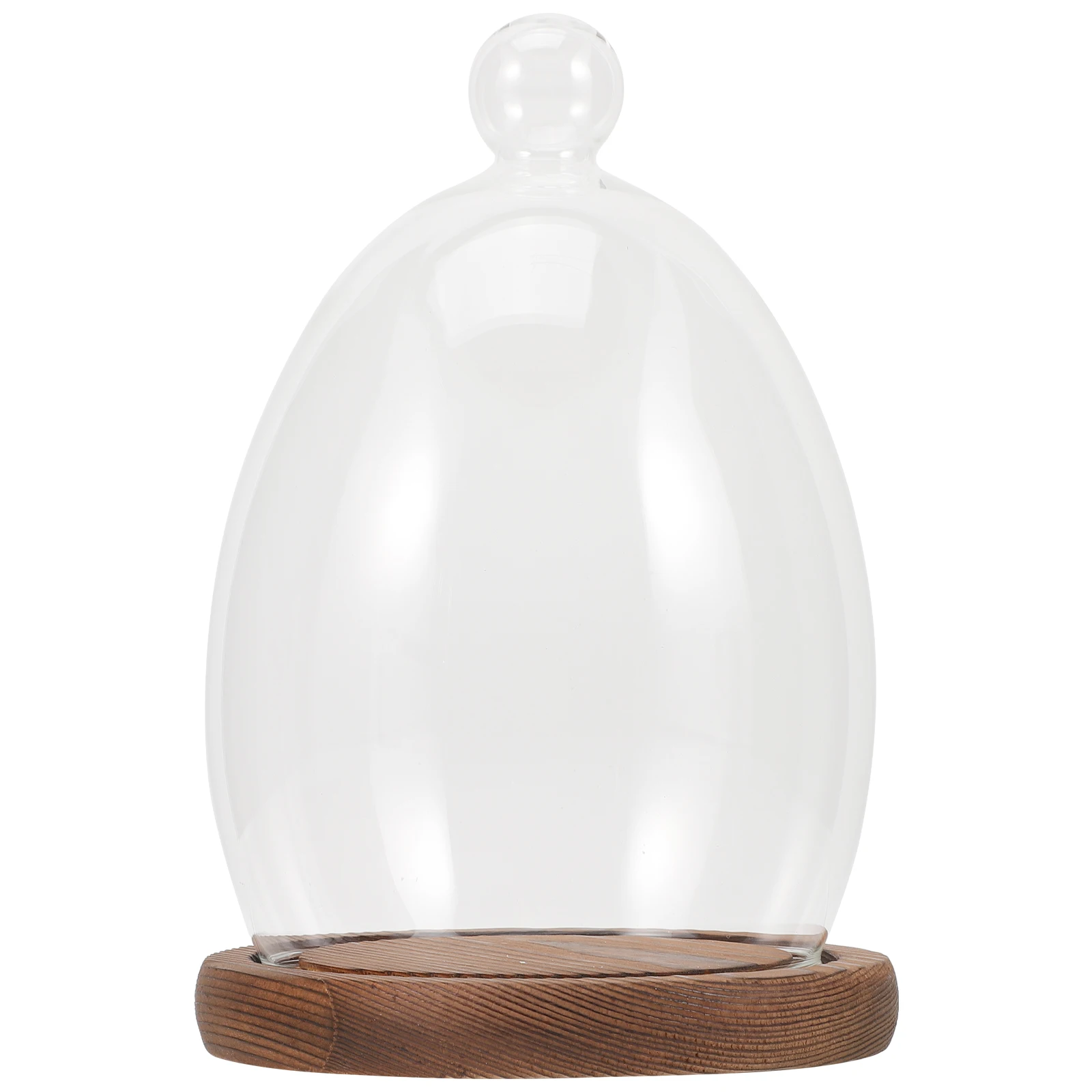 

Egg Shaped Glass Dome Clear Display Case Wood Base Decorative Cloche Valentine Flower Arrangement Micro Landscape Vase Home
