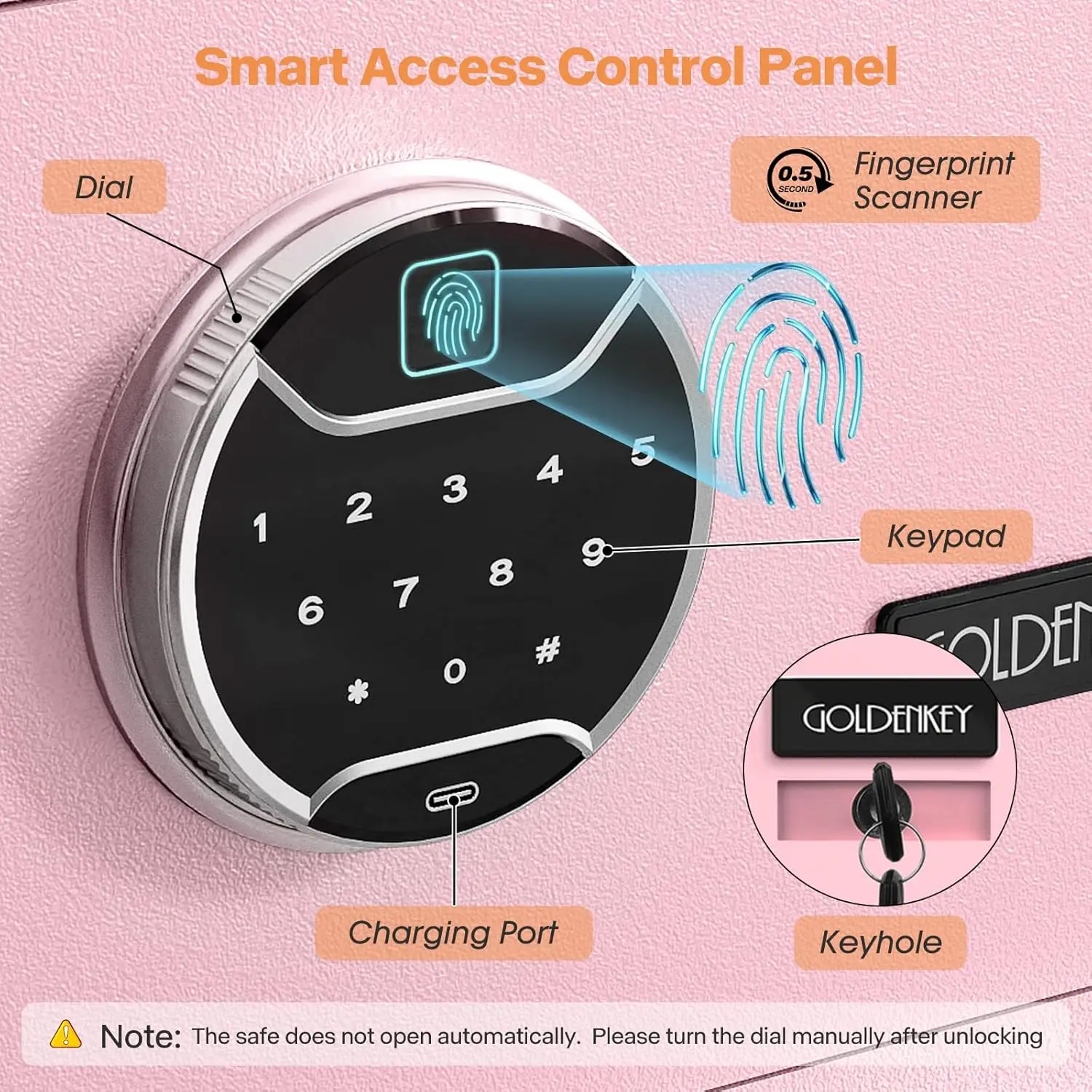 Pink Fingerprint Safe for Home, 1.2 Cu Ft Biometric Security Safe Box with Touchscreen Keypad, Jewelry Safes for Cash, Fireproof