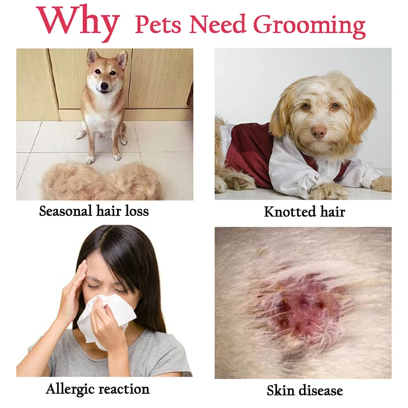 Professional Pet Deshedding Brush 4