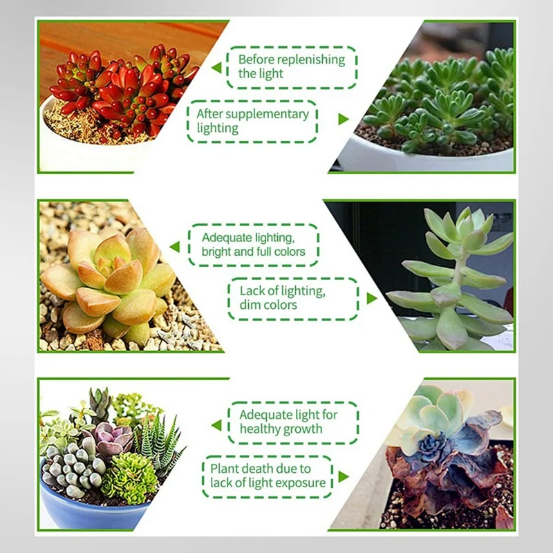 160Mm Full Spectrum 72LED Dimmable Plant Grow Light Full Spectrum Plant Light Plant Fill Light 3 Dimmable Modes Timer