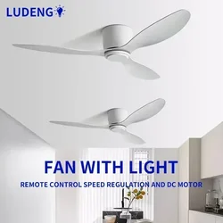 Low Floor Living Room No Lights and Remote Control Ceiling Fan, High Wind Power, Indoor Bedroom, Living Room, Dining Room