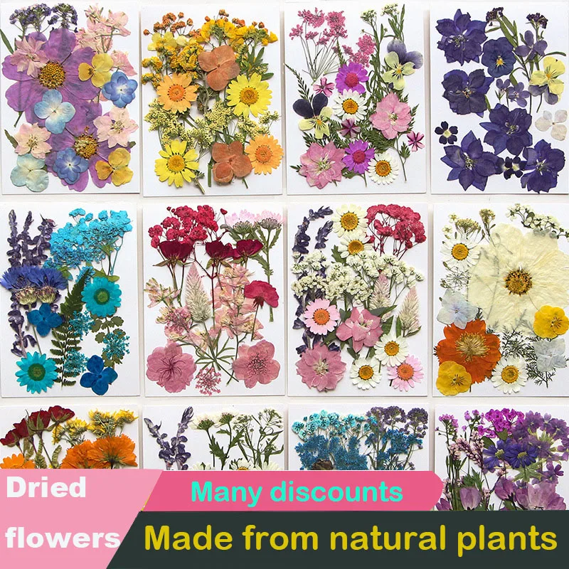

Natural Plants Preserved Dried Real Flowers Materials Epoxy Resin Candles DIY Floral Materials Flower Friend Gift