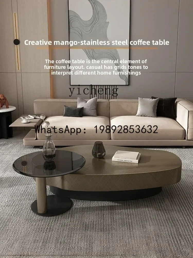 

X8 light luxury stainless steel special-shaped oval light luxury small apartment modern living room coffee table combination