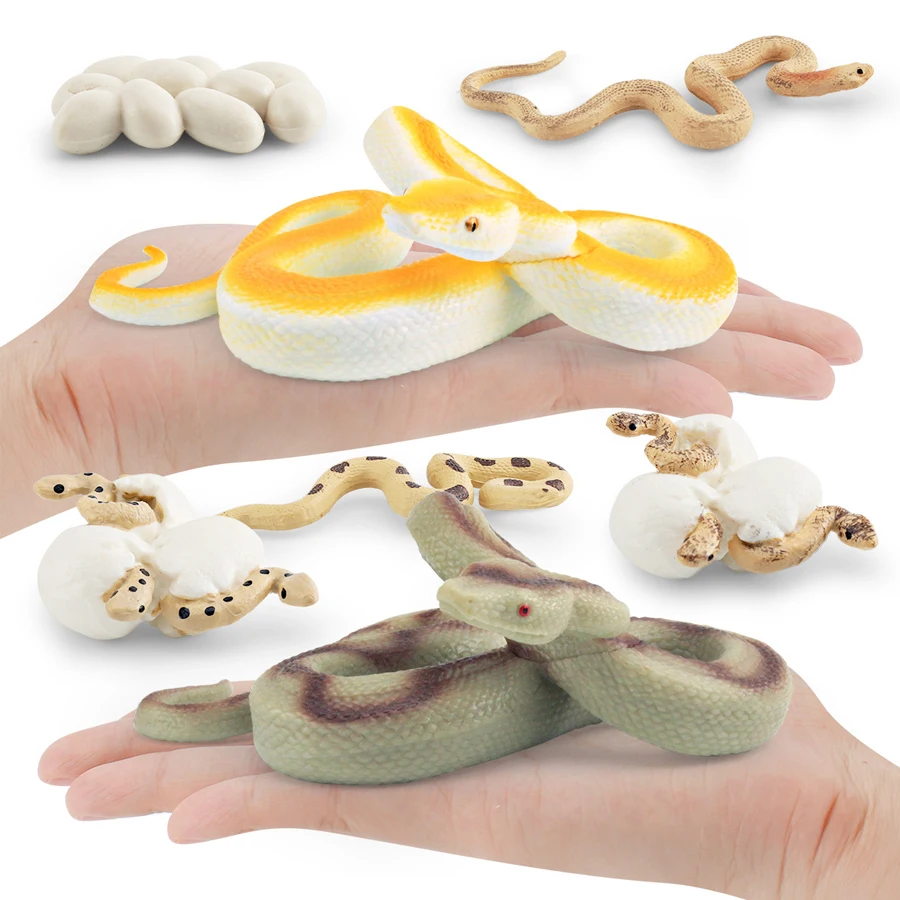 محاكاة ديناصور السحلية السلاحف ثعبان التمساح نمو دورة الحياة نموذج عمل الزواحف شخصيات حيوانات التعليم لعبة مصغرة