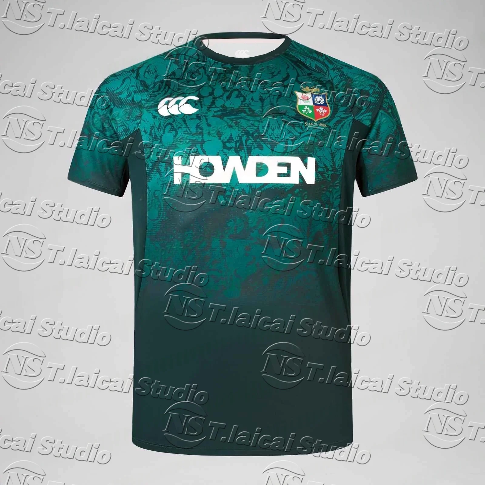 

2025 British&Irish Lions Warm Up Adults Rugby Sports Jersey T-Shirt Round Neck Wide Quick Drying Short Sleeved Men'S Casual Top