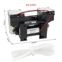 12V/220V High Positive Negative Pressure Vacuum Pump Large  Beauty Instrument Mute Double Head Diaphragm Pump Micro Air Pump