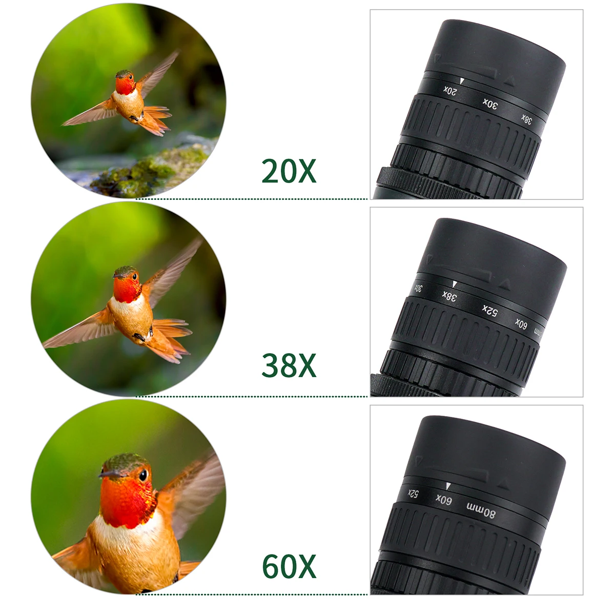 Svbony SV19 HD Spektiv 20-60X80 mit FMC Porro-Prisma, vollständig mehrfach beschichtetes Teleskop für Zielschießen, Vogelbeobachtung, Camping – Detail 6