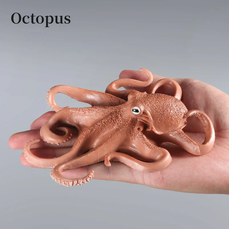 Educational Marine Molluscs ModelToys - Simulation Squid Octopus Growth Cycle Action Figure for Kids Sealife Animal Collection