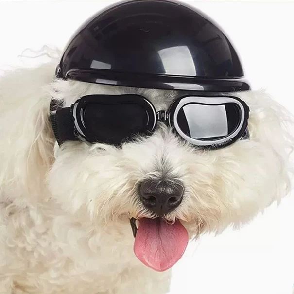 Pets, Dogs, Cats, Outgoing Helmets, Large Sunglasses, Motorcycle Motorcycle Glasses, Riding Windshield Safety Hats