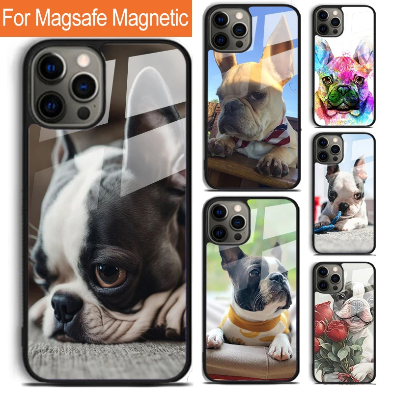 

Милый чехол для телефона «Бостон-терьер» с французским бульдогом для iPhone 17, Air 16, 15, 14, 12, Pro Max Plus Magsafe, магнитный беспроводной чехол