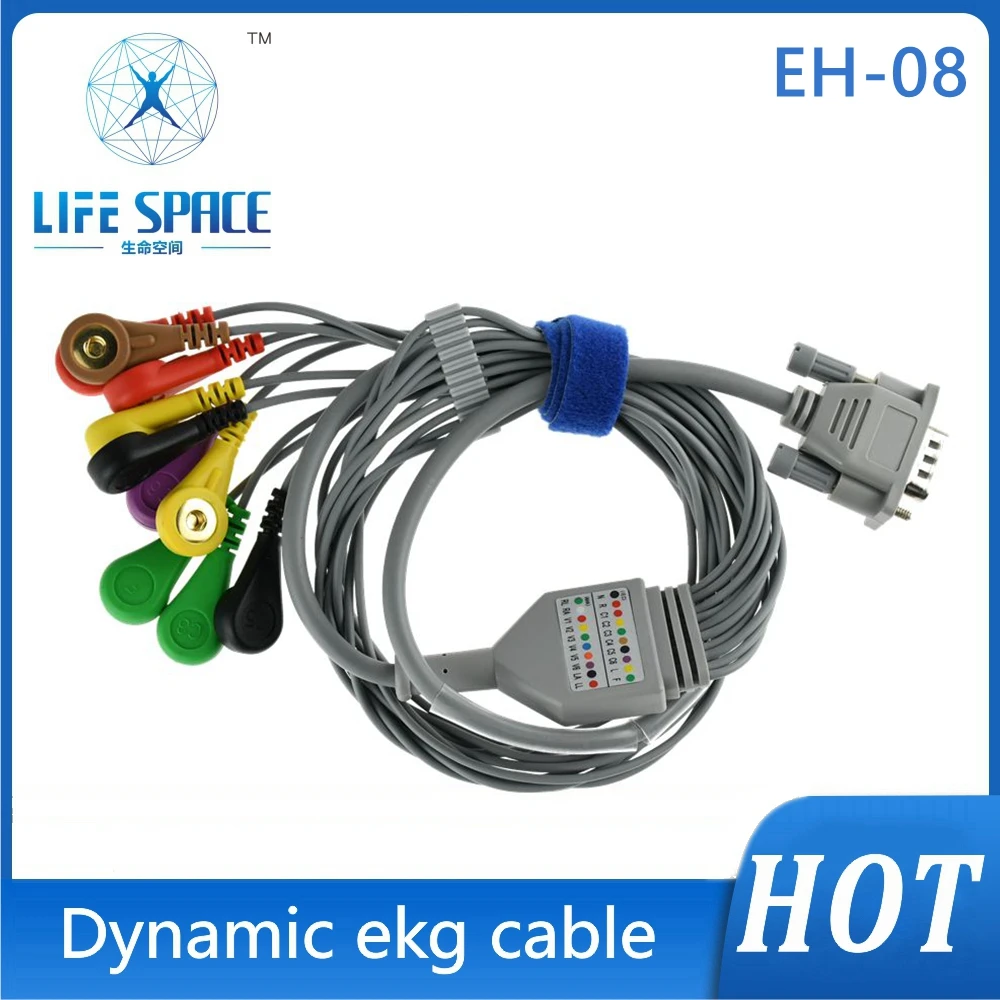 

Holter Cable ECG EKG Cable leads 10 Leads Channel ECG Holter Monitoring Recorder System only Cable changchun digital