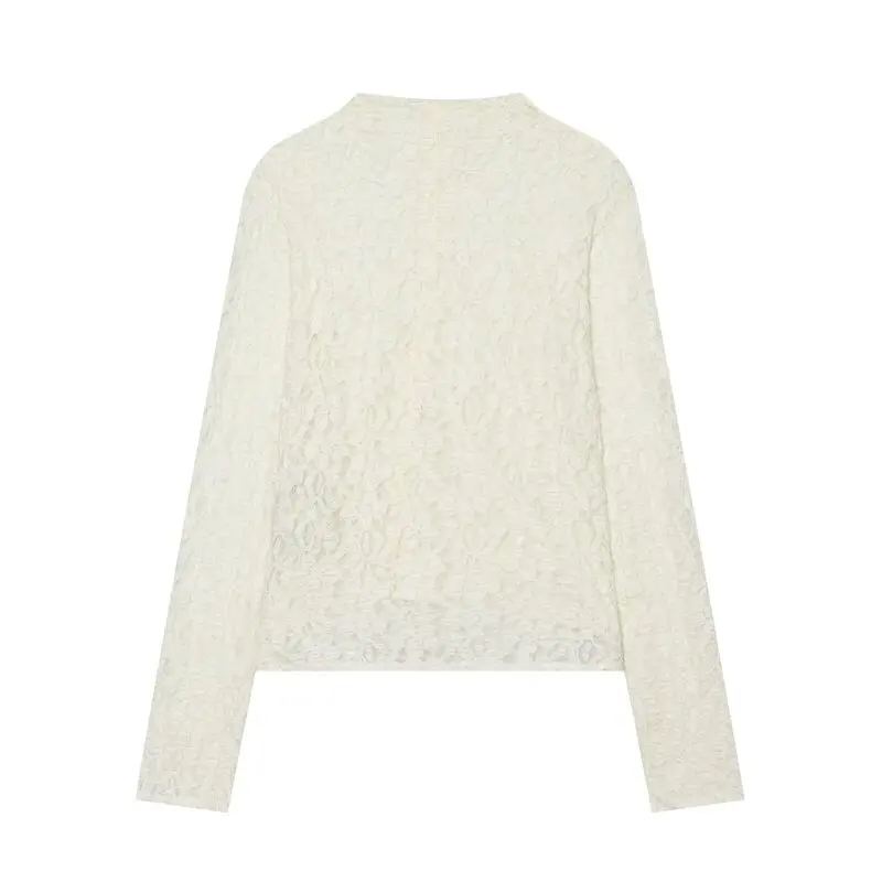 Women's Long Sleeve Stand Collar Semi-Transparent Lace Button up Top New Arrival Early Autumn 2026 Slim Fit Commute Style