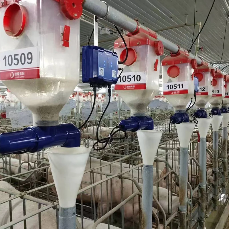 وحدة تغذية ذكية جديدة من المصنع |   نظام التغذية التلقائي البناء البلاستيكي IP67 تصنيف واي فاي مدعوم للخنازير