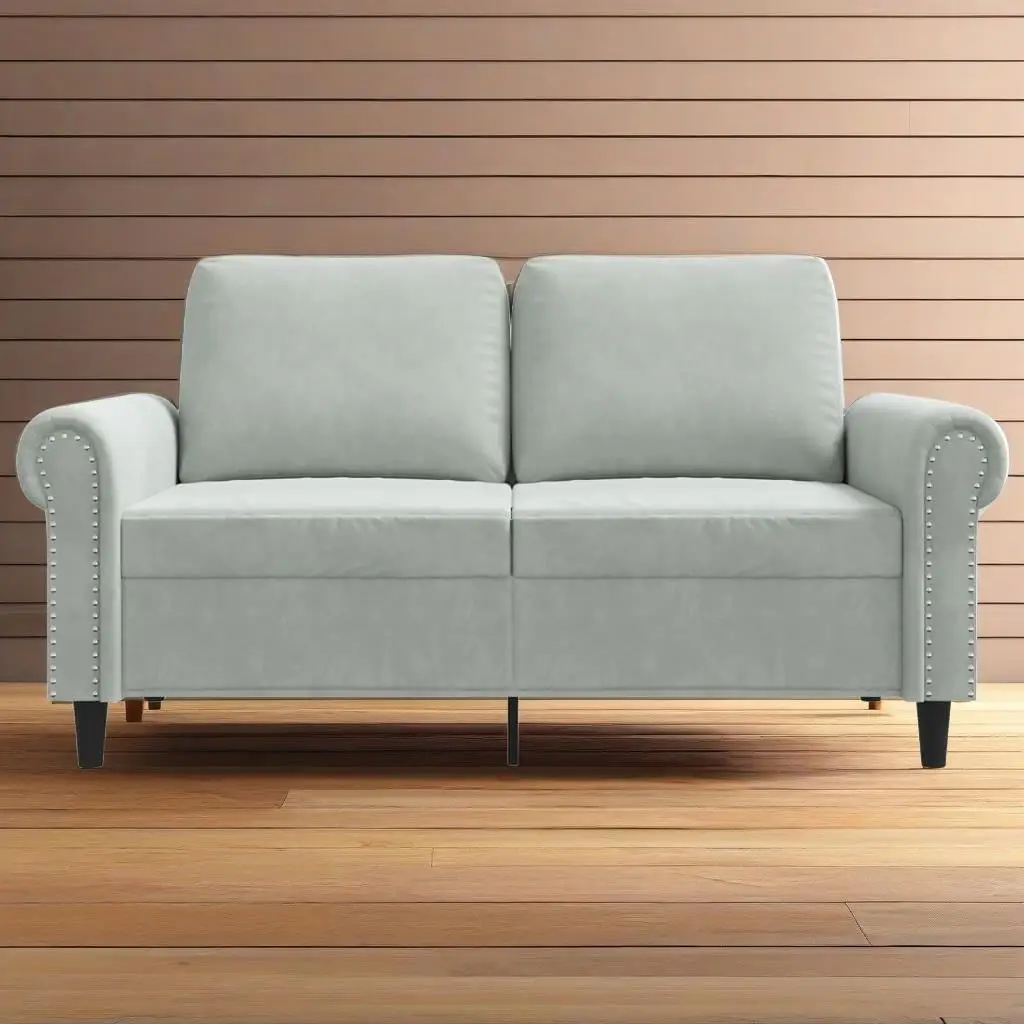 Light Gray Velvet 2-Seater Sofa - Cozy Modern Couch for Living Room, 47.2 inches