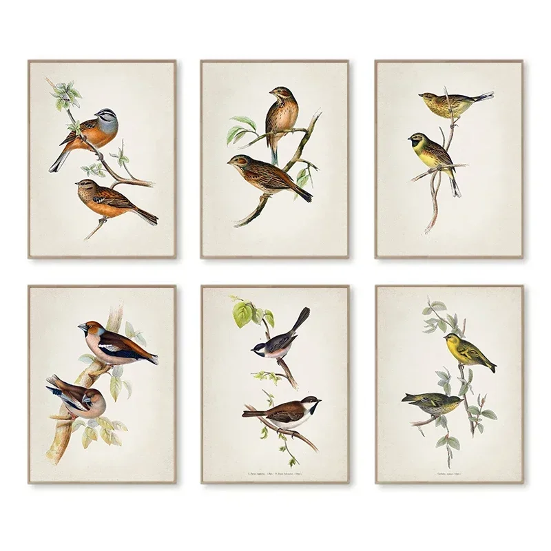 Wall Art Vintage The Bird Stands on A Branch Illustration Posters and Prints Canvas Painting for Living Room Modern Home Dec