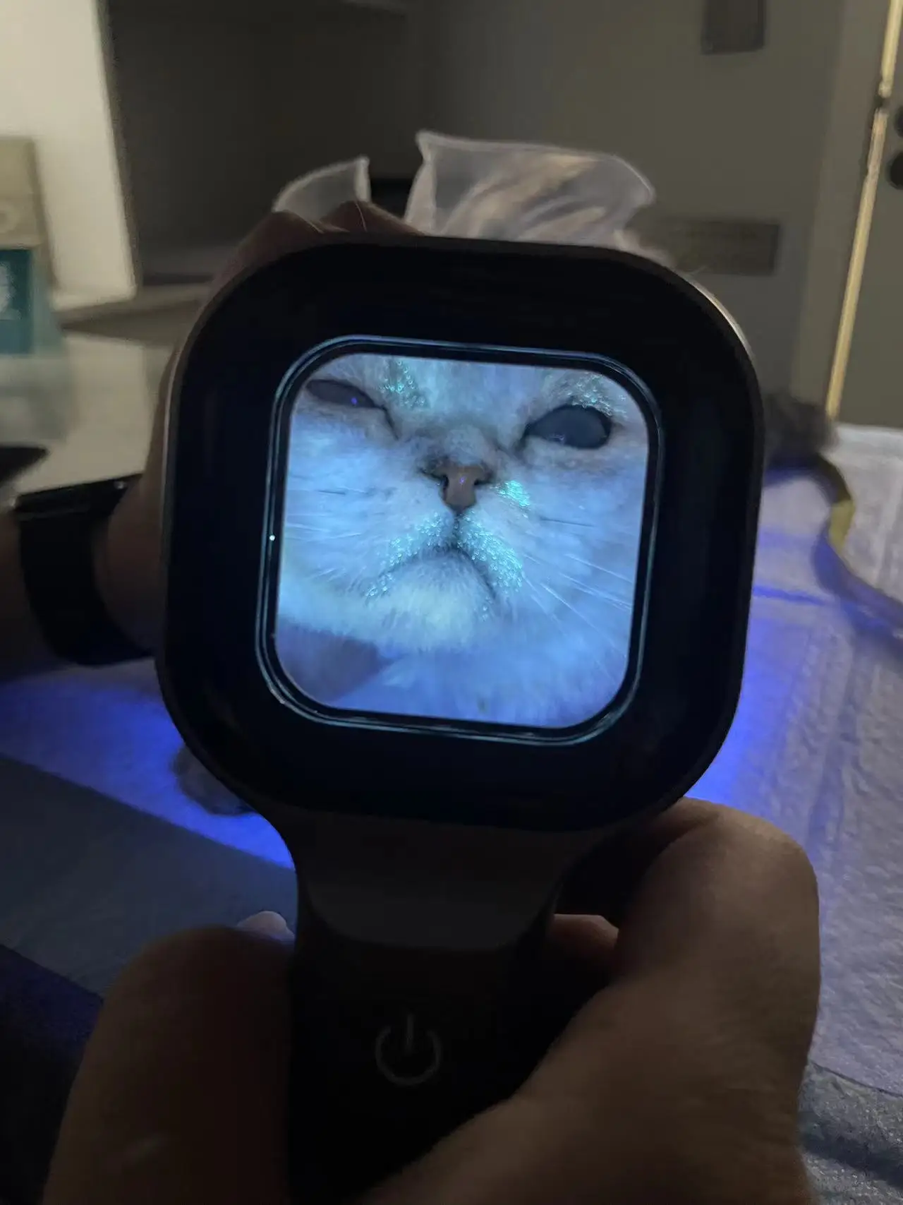 Skin Examination Fungus Detector Vitiligo Pityriasis Versicolor Melasma Vet Veterinary Pet Cat Medical Woods Lamp Skin Analysis