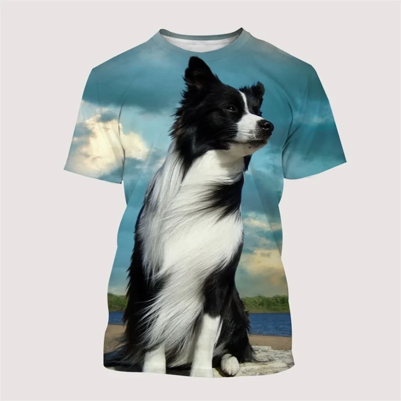 Animal Border Collie Graphic T Shirts Men Casual T-shirt Fashion 3D Printed Street Summer Tee Fashion Harajuku Short Sleeve Tops