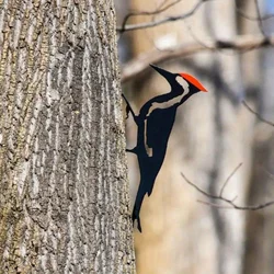 1pc Woodpecker On Branch Steel Silhouette Metal Wall Art - Perfect for Birthdays, Housewarming Gifts & Outdoor Decor