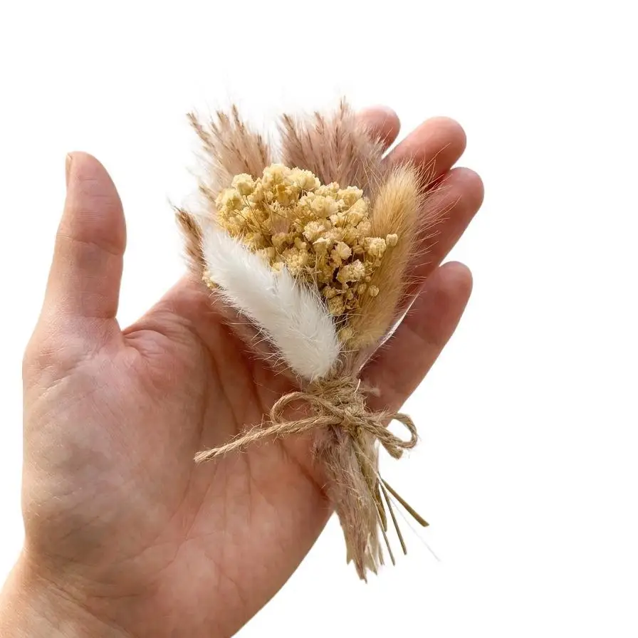 Mini Dried Flower Bouquet Natural Preserved for Home Table Decor Wedding Party Favor Gift Souvenir Corsage Photography Prop view 5