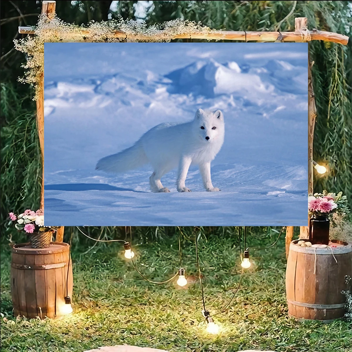 Arctic Fox Wild Life Backdrop World Beautiful Places Nature Animal Valley School Wall Photography Background Restaurant Decor