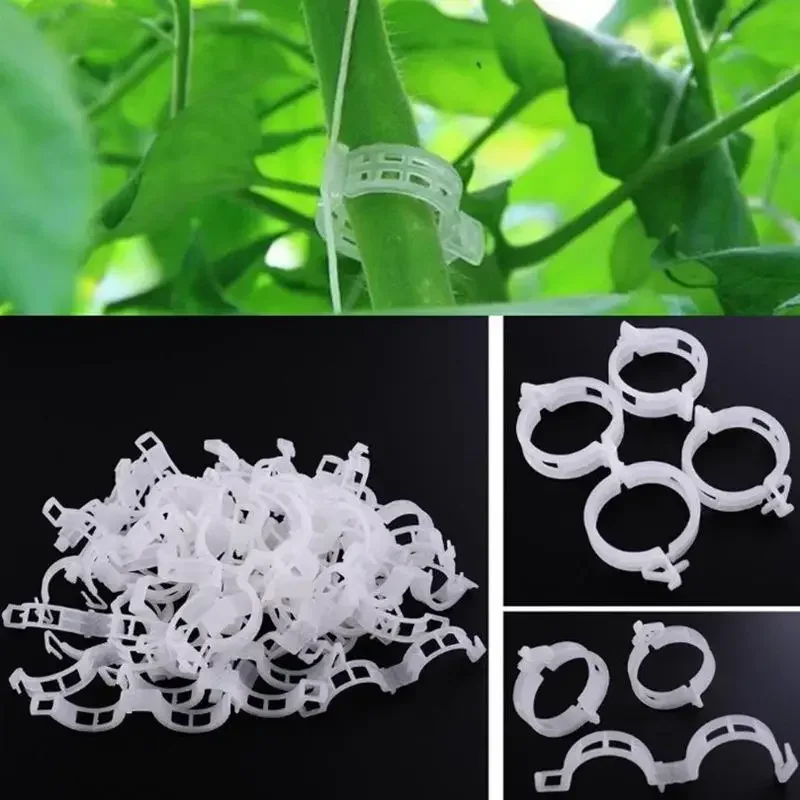 50 Pieces/Batch Of Plastic Plant Clamps Support Greenhouse Vegetable Garden Accessories Tomato Hanging Connection