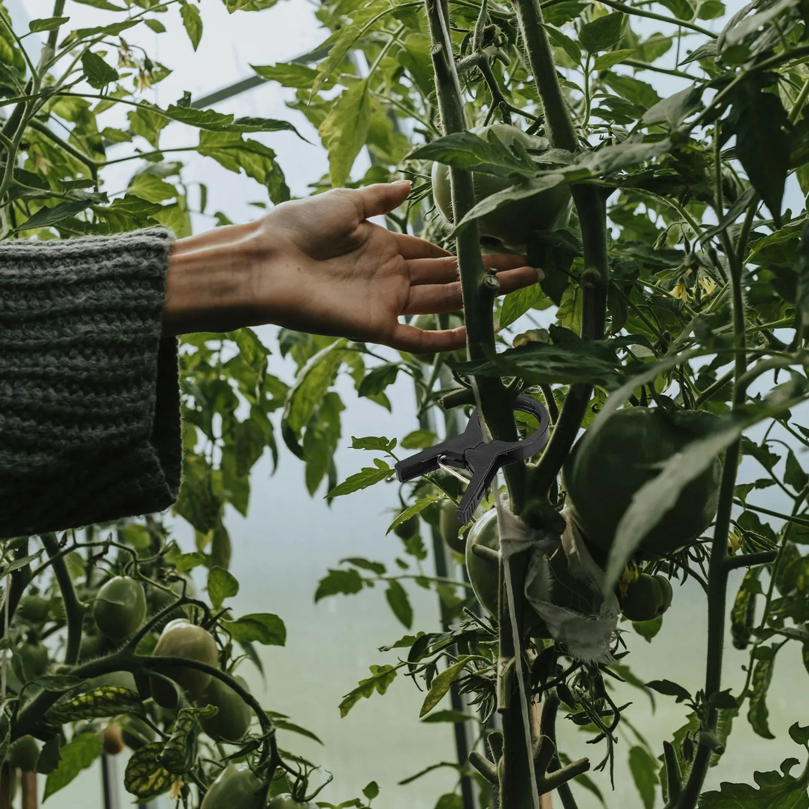 100Pcs Plant Fixed Clips Reusable Garden Greenhouse Bracket For Fixed Plants Vine Flower Seedling Stem Support Garden Supplies