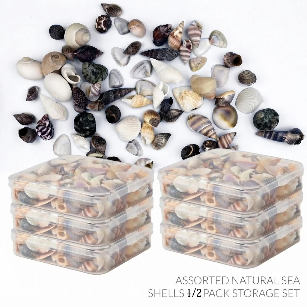 Tiny Natural Mixed Ocean Sea Shells Miniature Beach Critter Seashells Beach Decor Crafts for Arts & Crafts Projects Home Decor