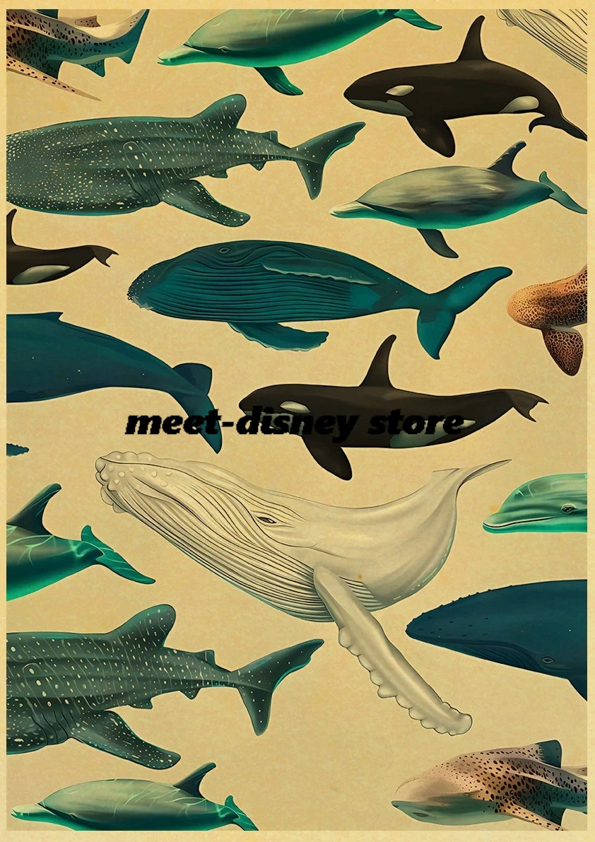 โปสเตอร์วาฬและฉลามสัตว์ทะเลกระ - Aquarium Fish Poster บทวิจารณ์และราคา