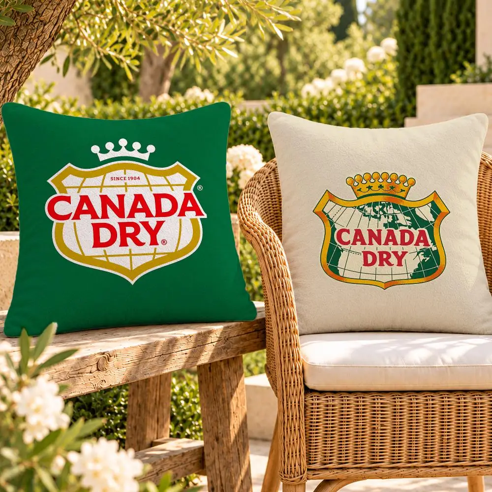 Drink Ginger Ale Canada Dry Cushion Cover Soft Plush Throw Pillow Cover Washable Sofa Bed Patio Chair Home Decor