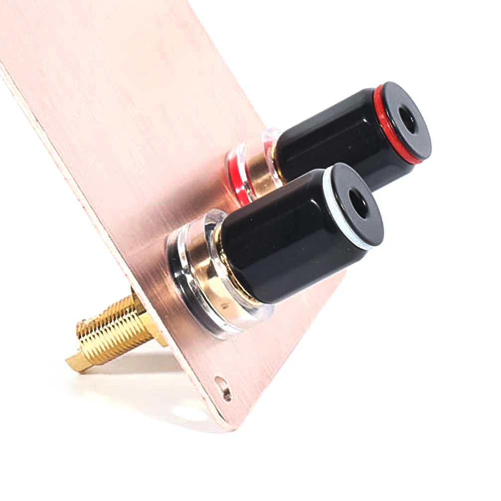 2 PCS HiFi Speaker Terminal Binding Posts Gold-Plated Pure Copper Amplifier Connectors - Female Banana Plug Replacement