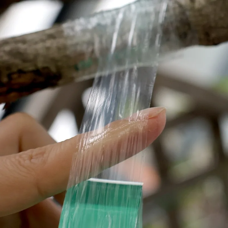 100/300M Stretchable Green Grafting Tape for Plant Support Nursery Use Household Garden Grafting Transparent Tape for Fruit Tree