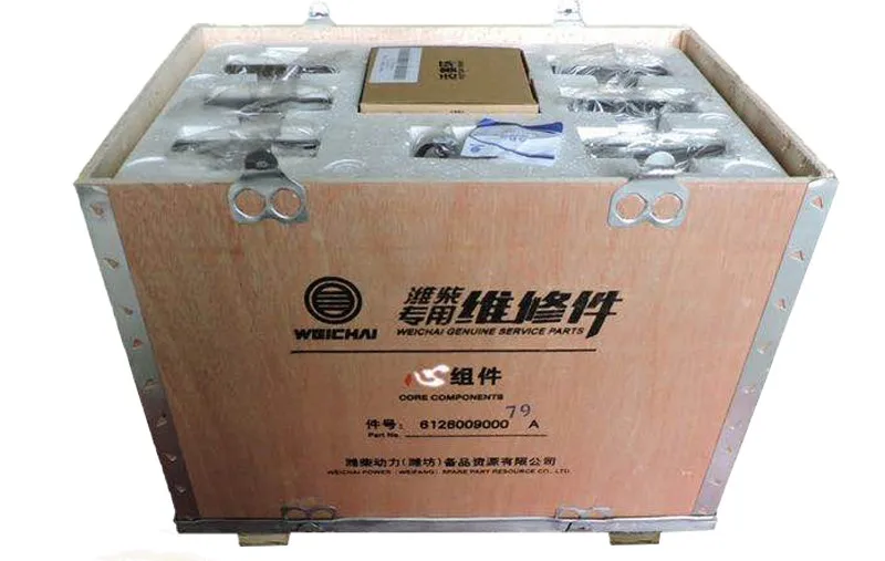 WEICHAI ENGINE Overhaul kits 612600900501A