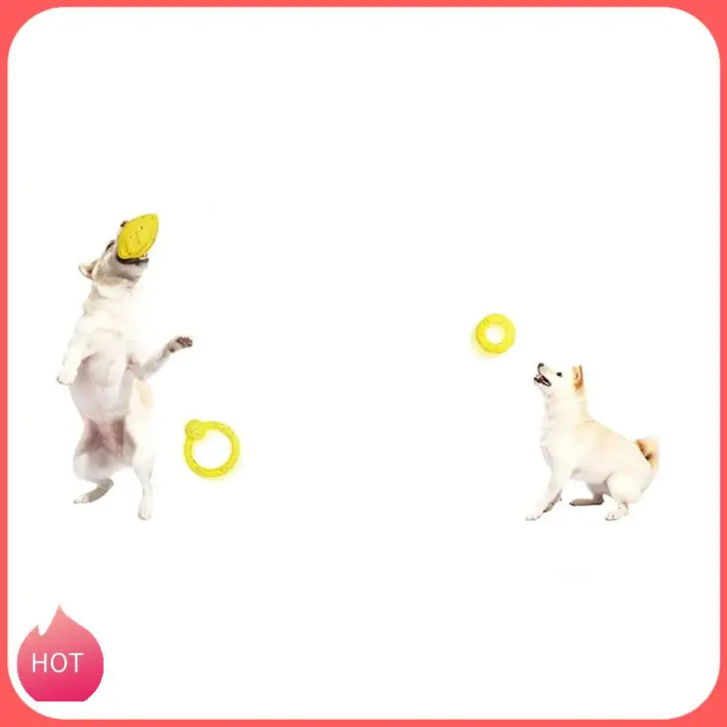 HOT-Dog Chewing Ball ETPU High-Elastic Throwing Flying Toys For Dogs Accessories Cleaning Teeth Toy Pet Supplies A