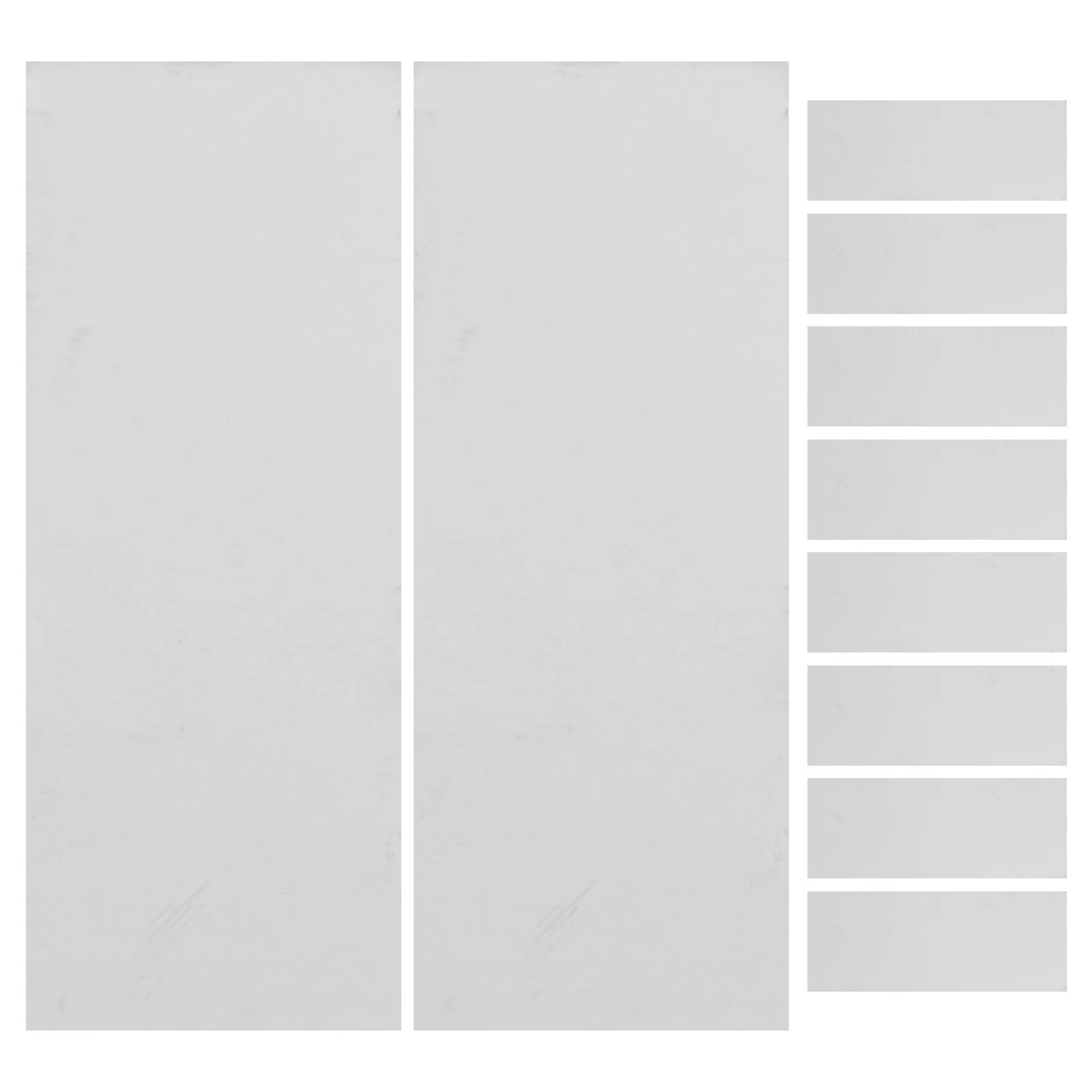 10Pcs Fruit Experiment Sheets Science Project Supply for DIY Experiment Tools Teaching Materials