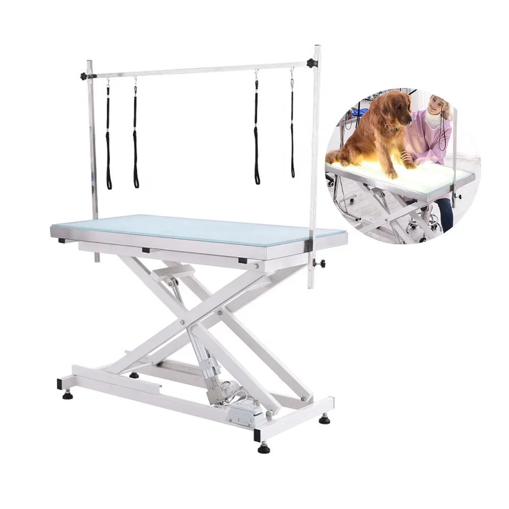 

Veterinary Large Pets LED Light Hydraulic Dog Grooming Table Electric Hydraulic Table Grooming for Dogs