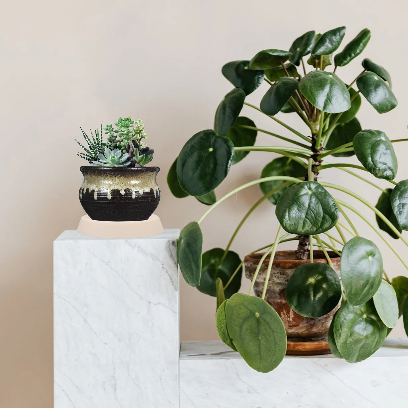 

10Pcs Planter Saucers Plastic Round Trays for Plants Bottom Water Collection Indoor Garden Decor Drip Succulents Size