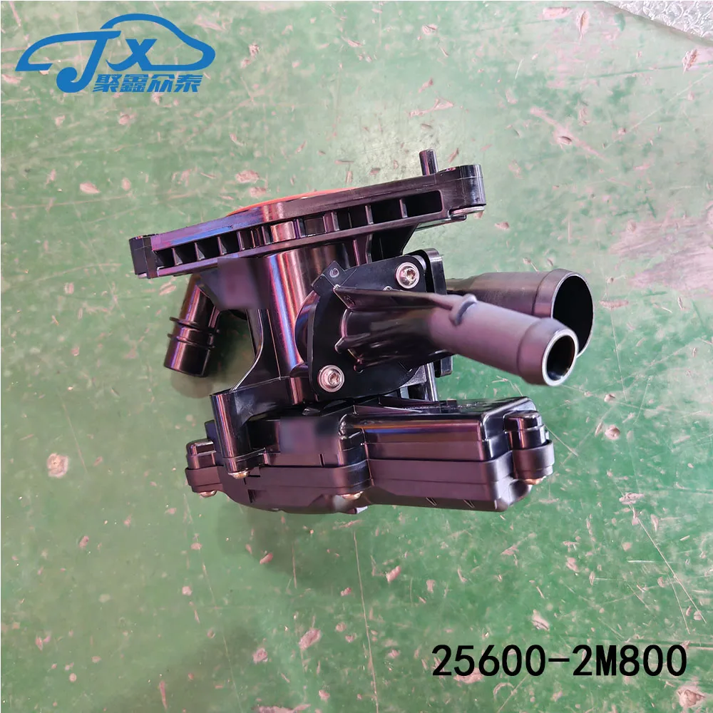 OEM 25600-2M800 for hyunda-i Sonata N Line Car section probe assembly 256002M800