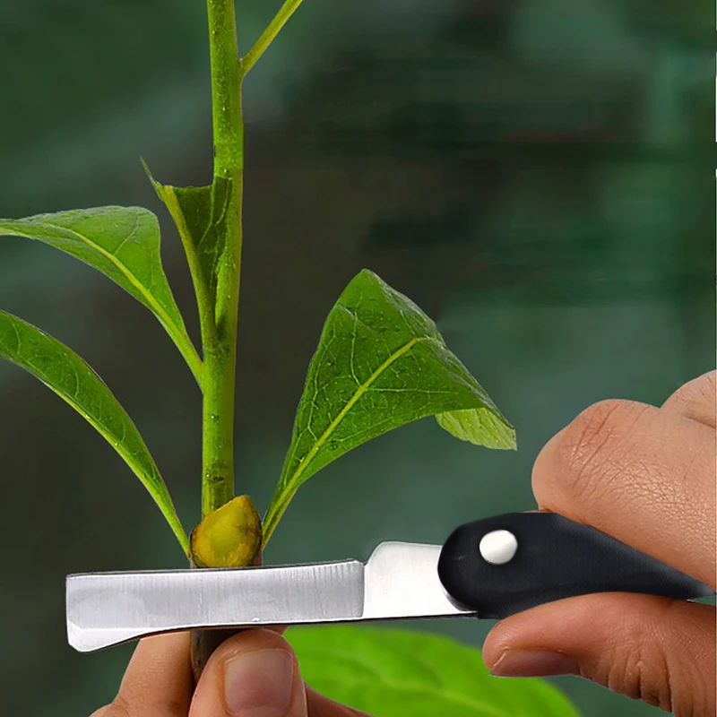 

Grafting Knife Foldable Grafting Pruning Knife Professional Garden Grafting Cutter Stainless Steel Wooden Handle Grafting Tools