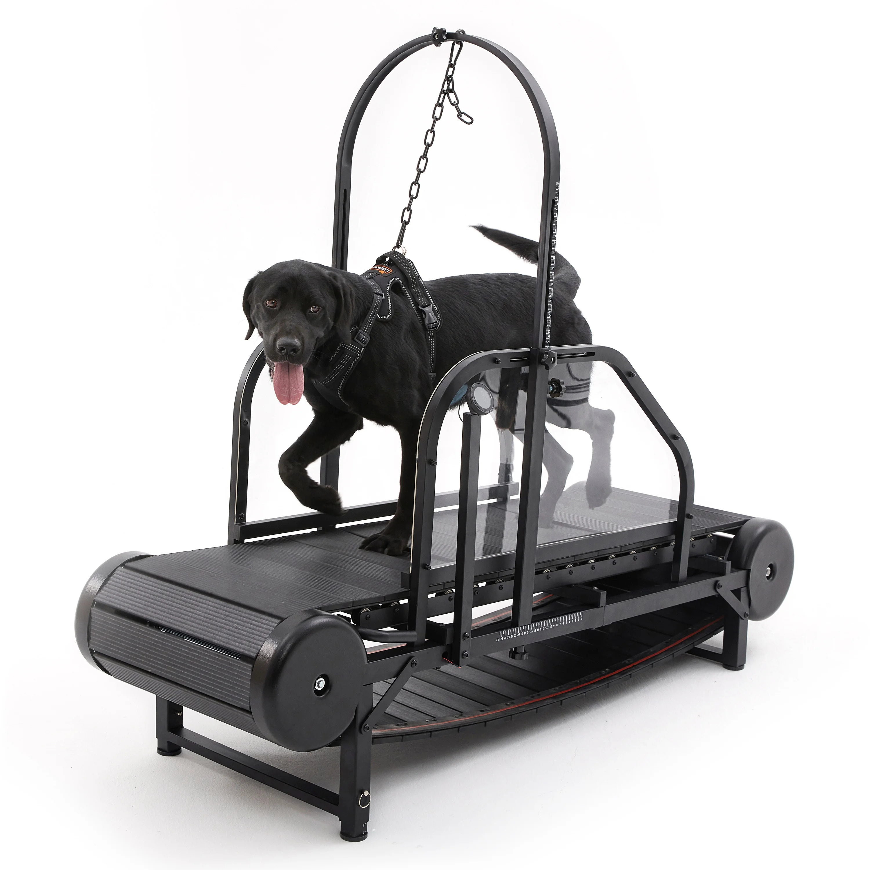 

Non-electric Dogs Sport Training Machine Running Pet Dog Treadmills Equipment