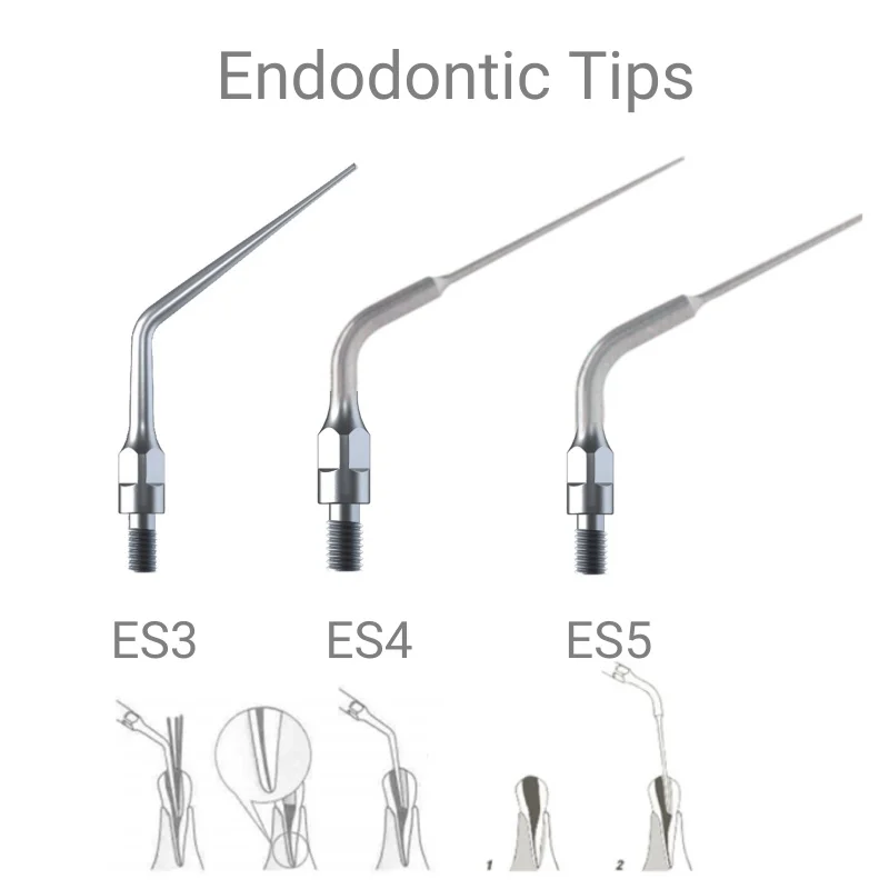 Le punte per scaler dentale in acciaio inossidabile VV si adattano ai strumenti metallici per la pulizia e lo sbiancamento dei denti con manico di marca KAVO